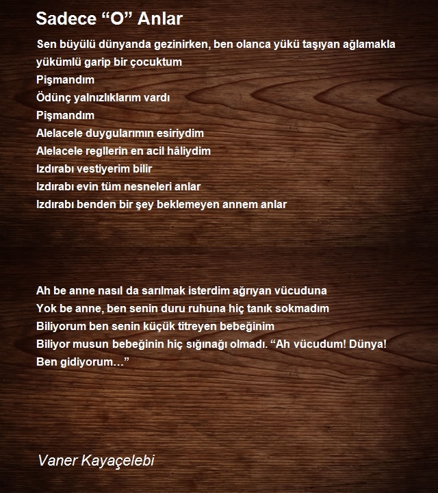 Vaner Kayaçelebi