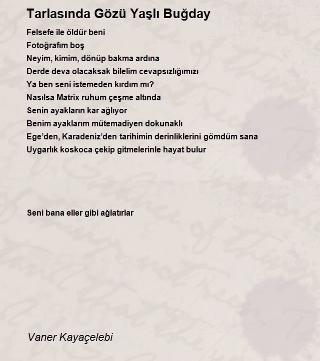 Vaner Kayaçelebi