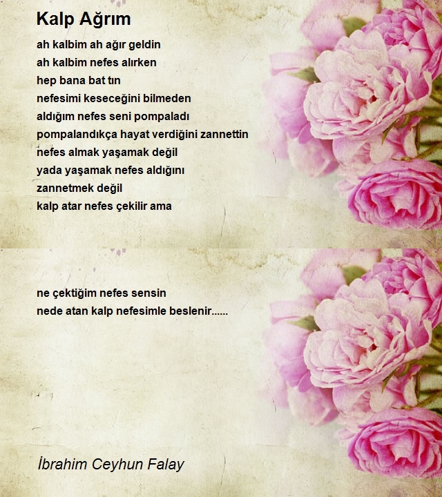 İbrahim Ceyhun Falay