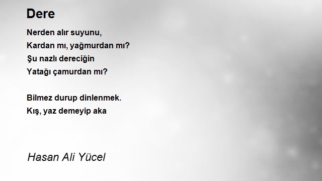 Hasan Ali Yücel