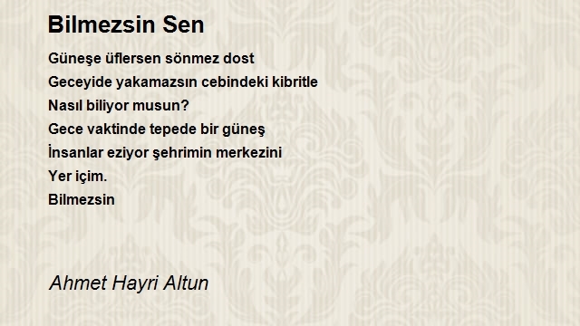 Ahmet Hayri Altun