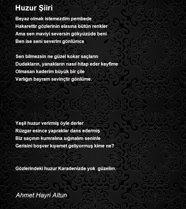 Ahmet Hayri Altun