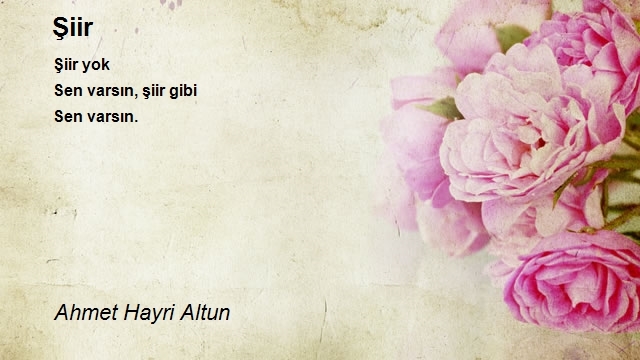 Ahmet Hayri Altun