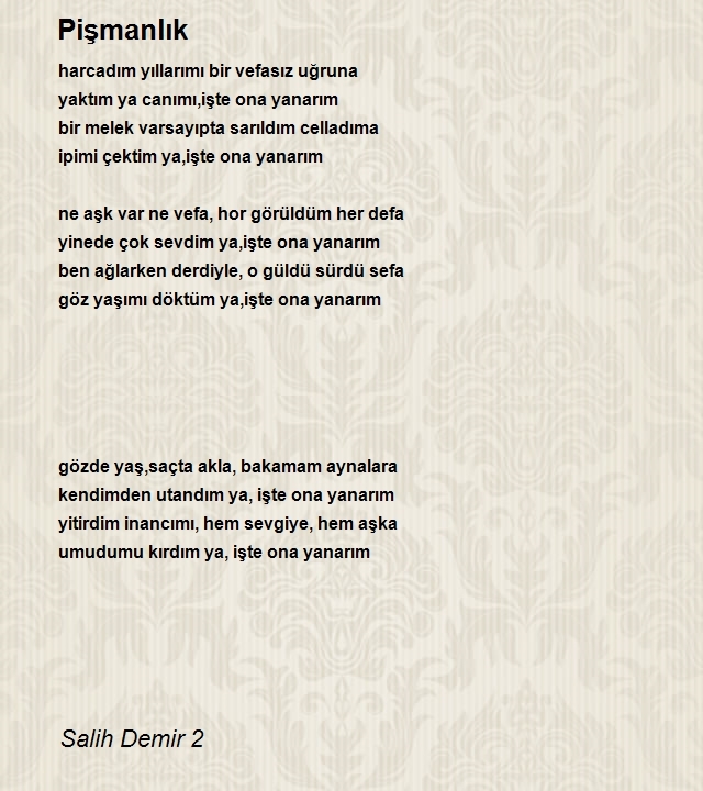 Salih Demir 2