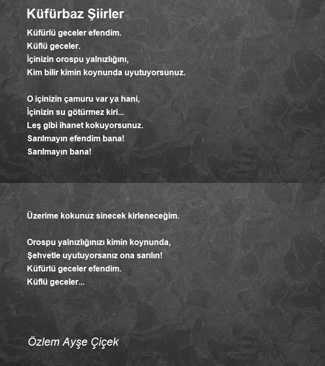 Özlem Ayşe Çiçek