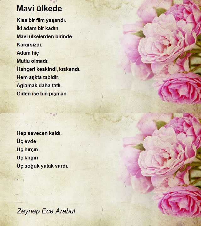 Zeynep Ece Arabul