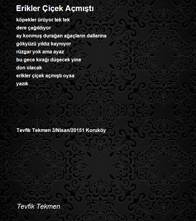 Tevfik Tekmen