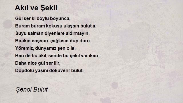 Şenol Bulut