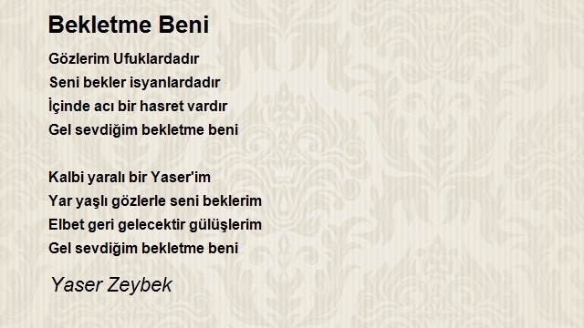 Yaser Zeybek