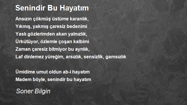 Soner Bilgin