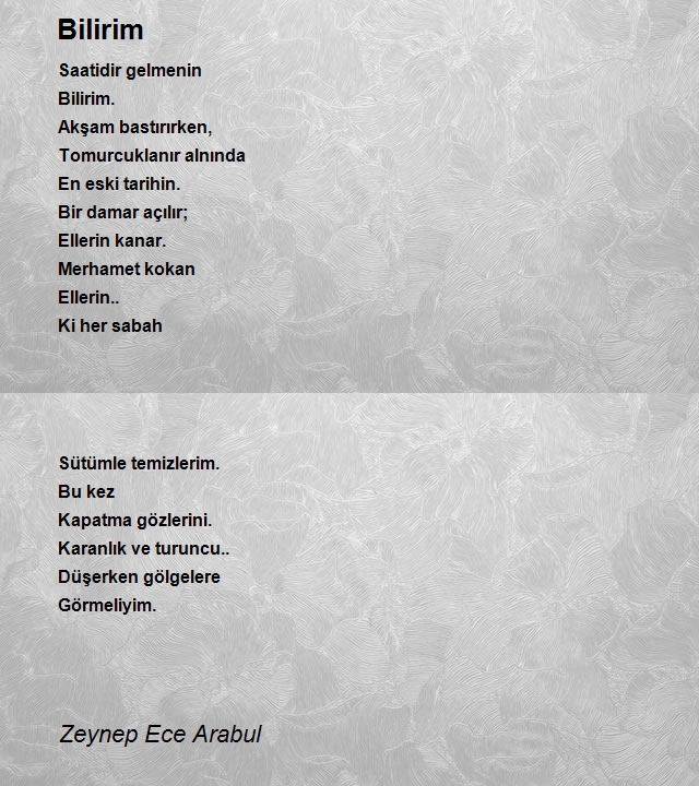 Zeynep Ece Arabul