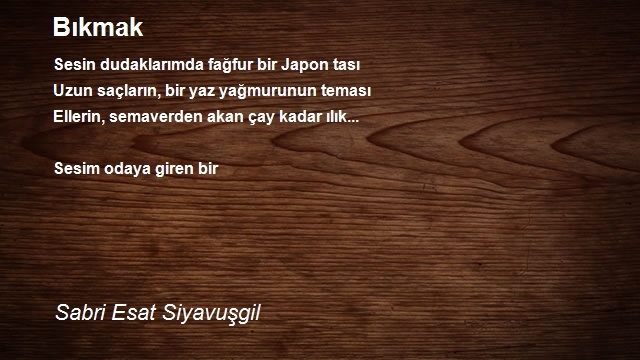 Sabri Esat Siyavuşgil