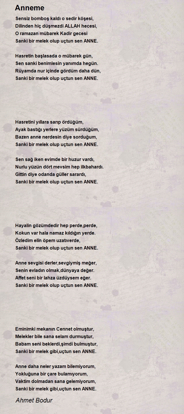 Ahmet Bodur