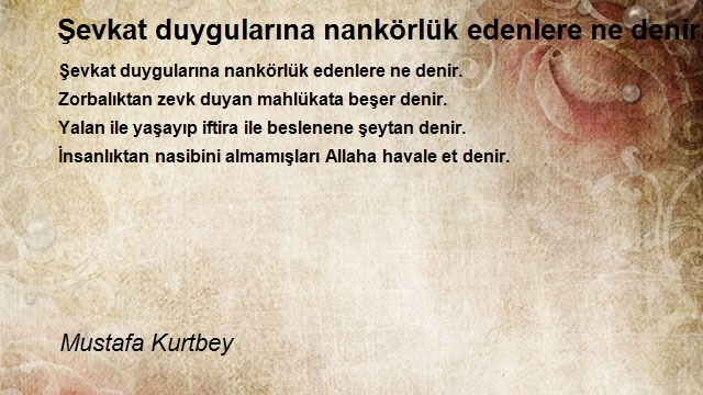 Mustafa Kurtbey