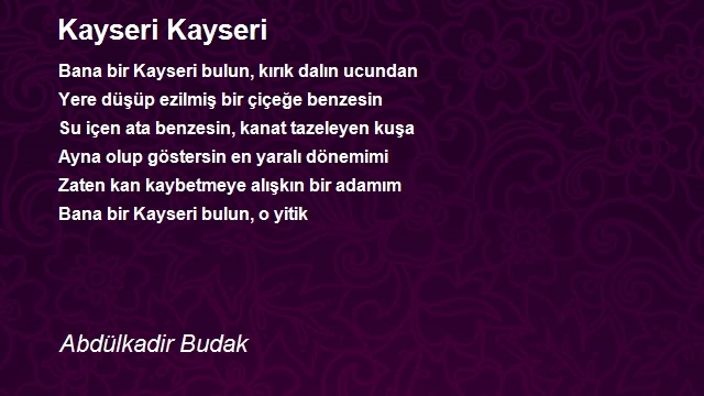 Abdülkadir Budak