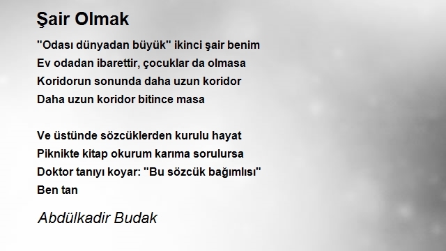 Abdülkadir Budak