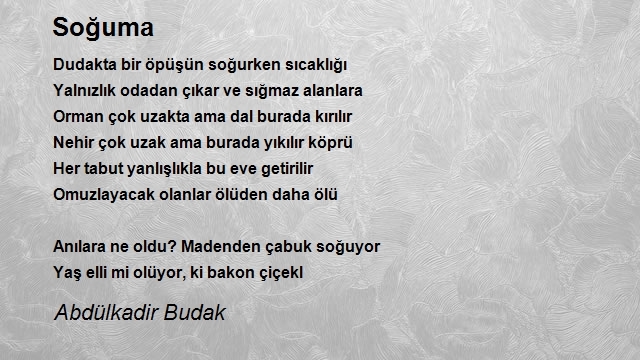 Abdülkadir Budak