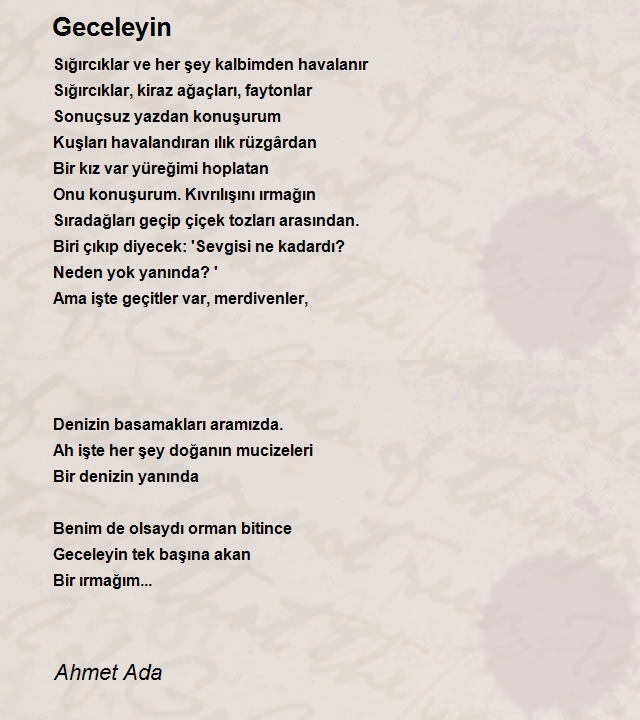 Ahmet Ada