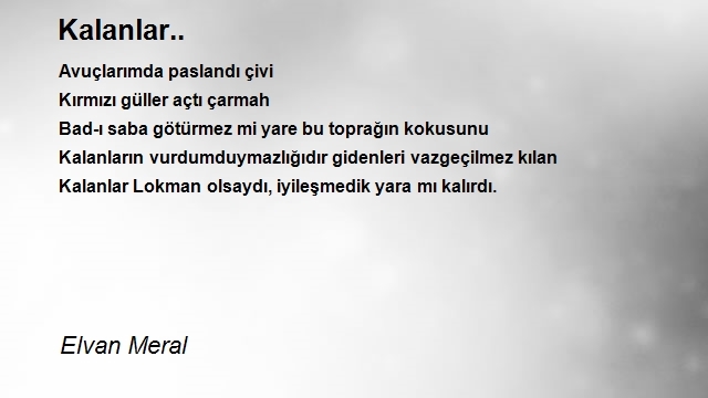 Elvan Meral