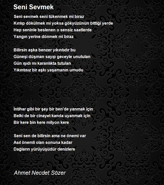 Ahmet Necdet Sözer