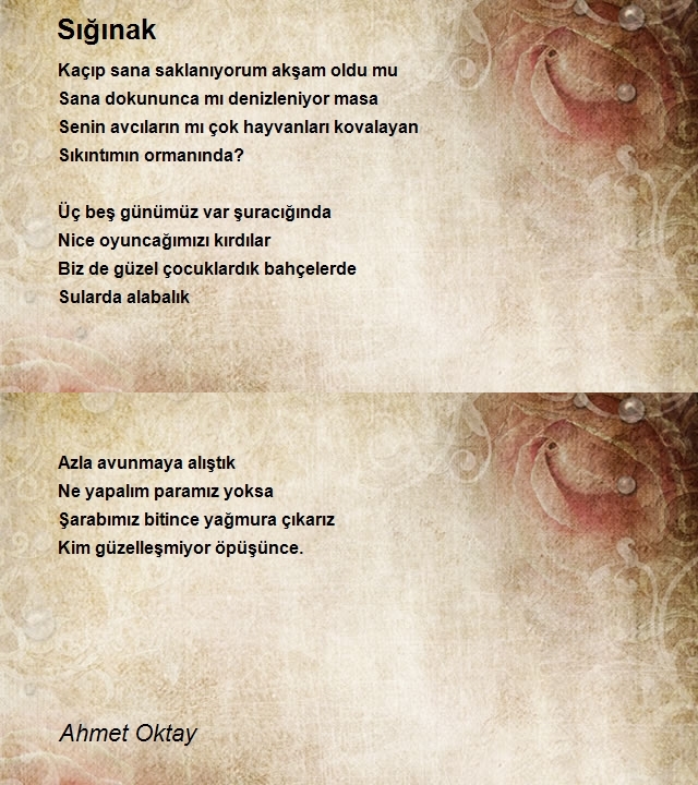 Ahmet Oktay