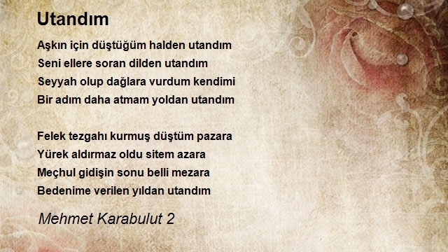 Mehmet Karabulut 2