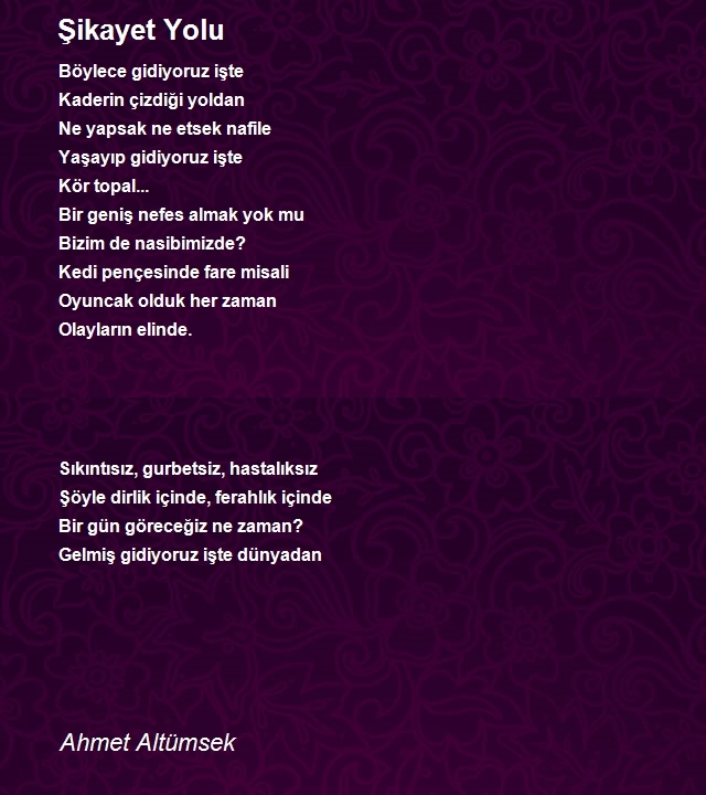 Ahmet Altümsek