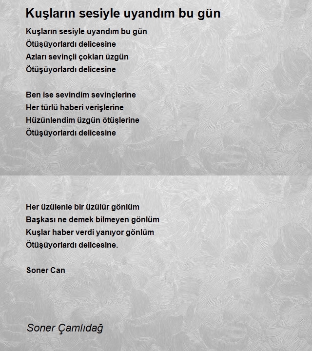 Soner Çamlıdağ