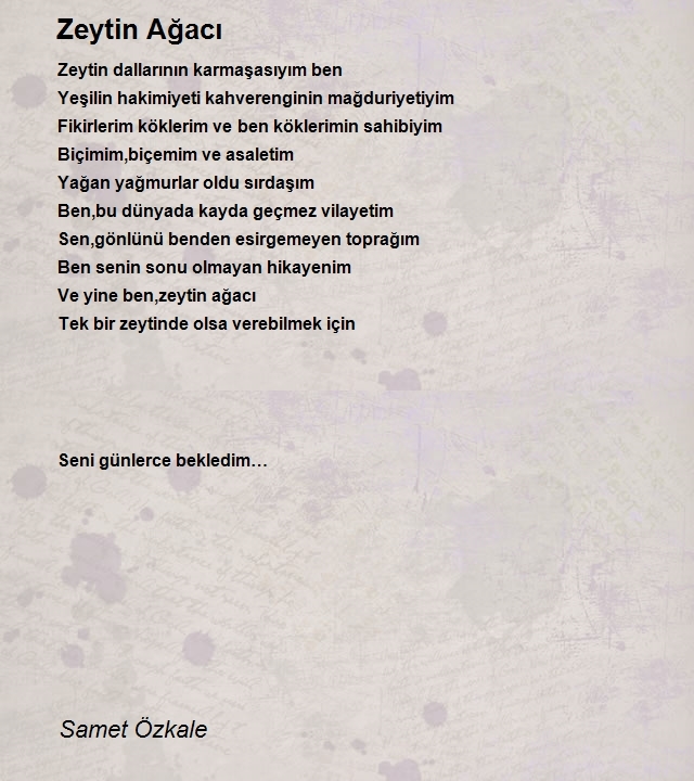 Samet Özkale