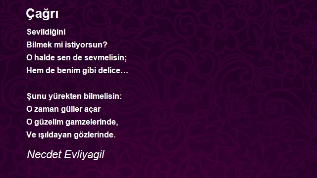 Necdet Evliyagil