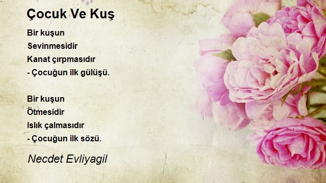 Necdet Evliyagil