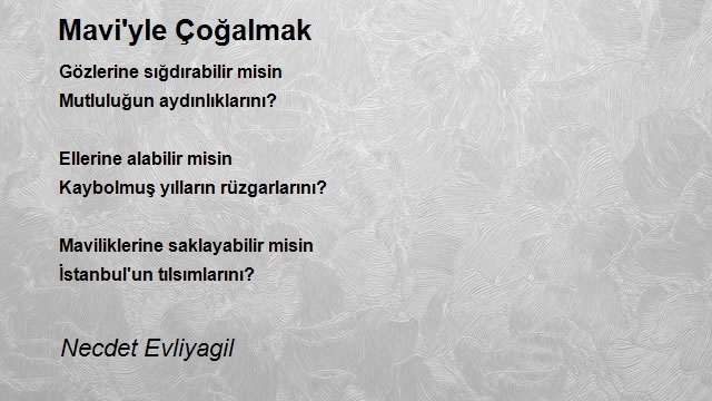 Necdet Evliyagil