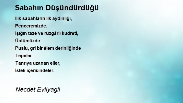 Necdet Evliyagil