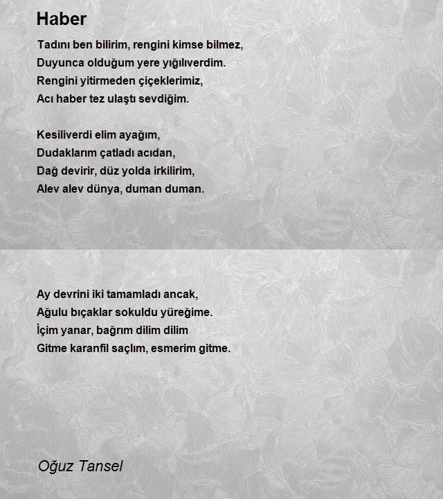 Oğuz Tansel