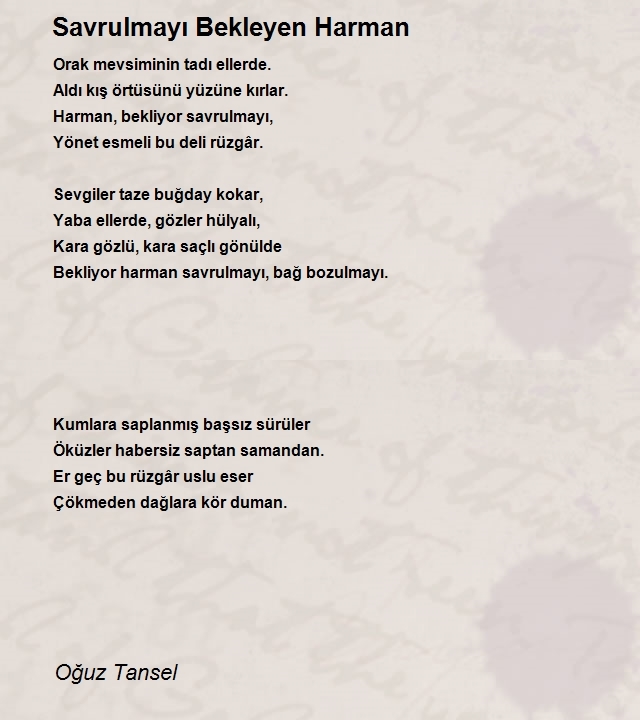 Oğuz Tansel