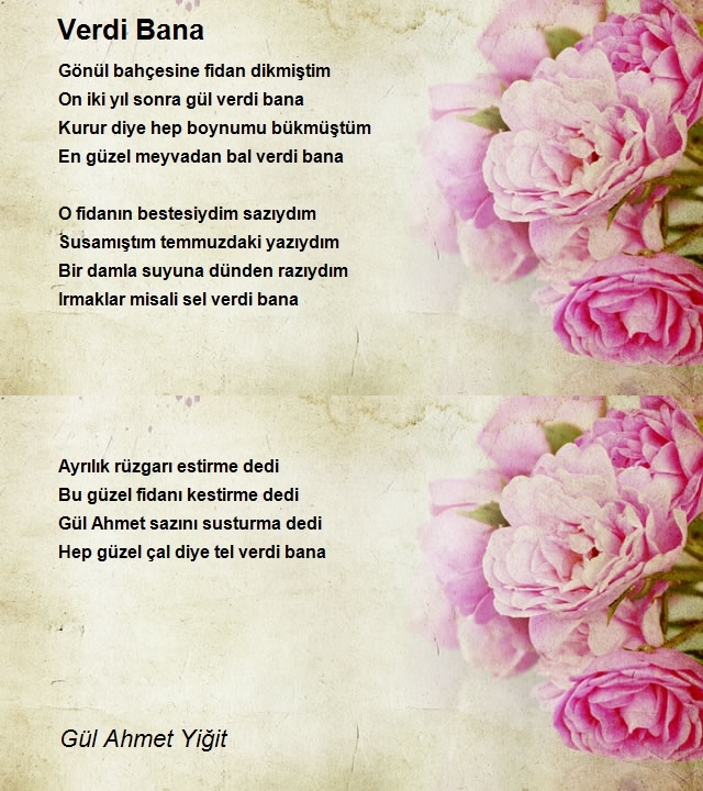 Gül Ahmet Yiğit