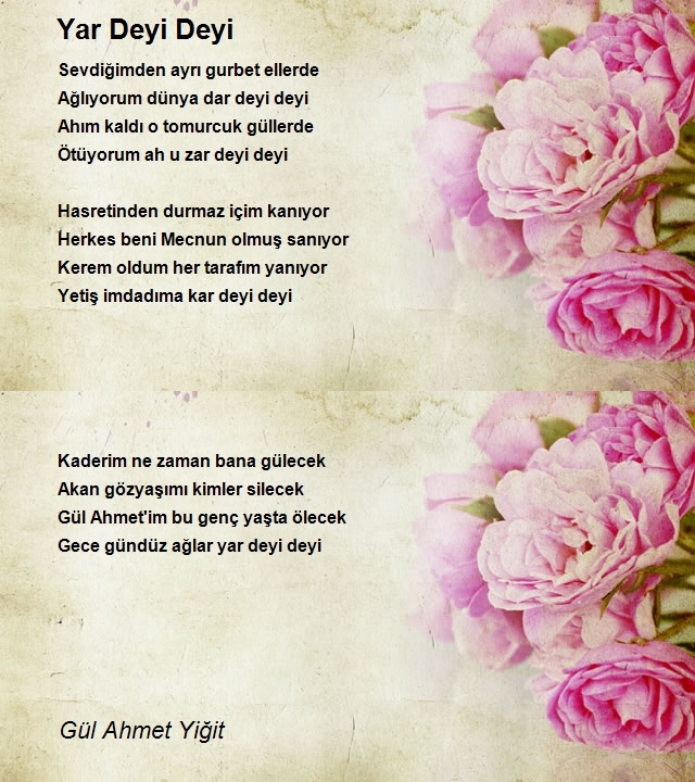 Gül Ahmet Yiğit