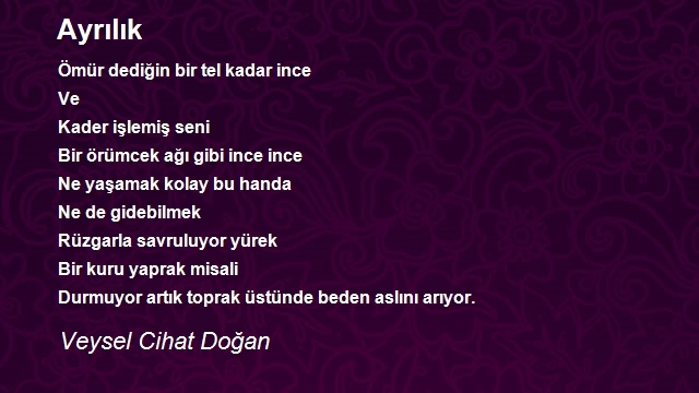 Veysel Cihat Doğan