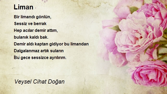 Veysel Cihat Doğan