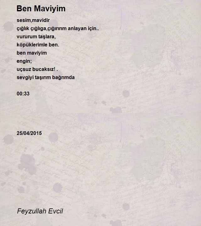 Feyzullah Evcil