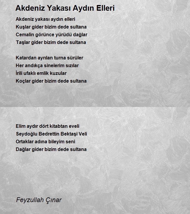 Feyzullah Çınar