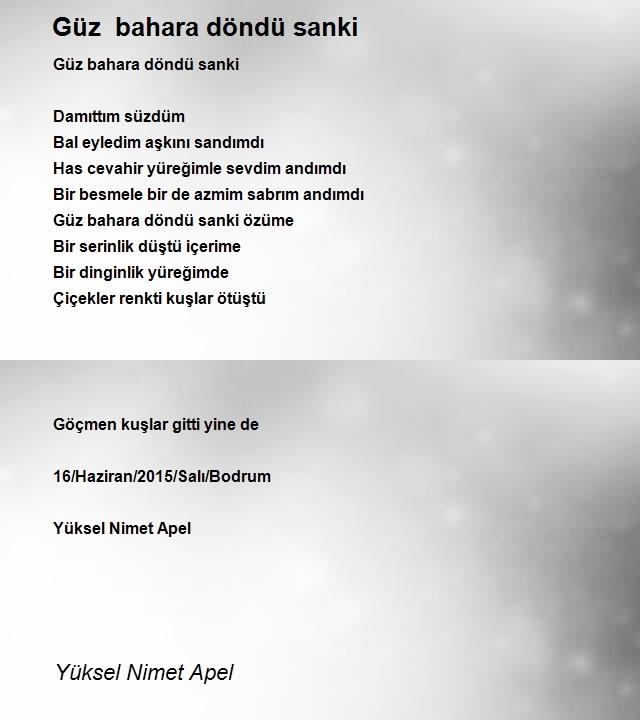 Yüksel Nimet Apel