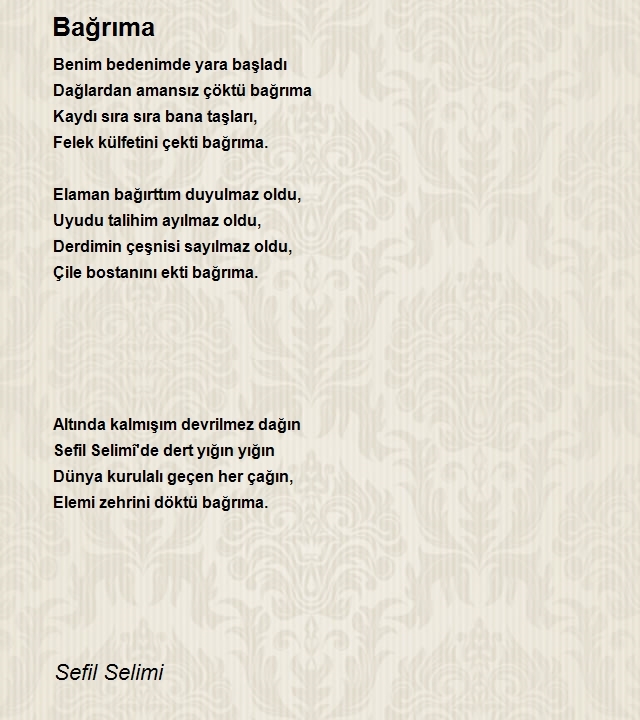 Sefil Selimi