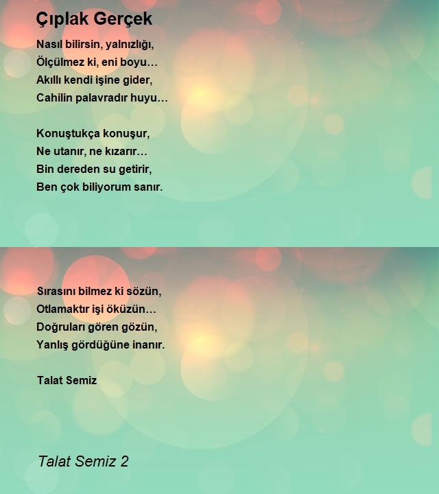 Talat Semiz 2