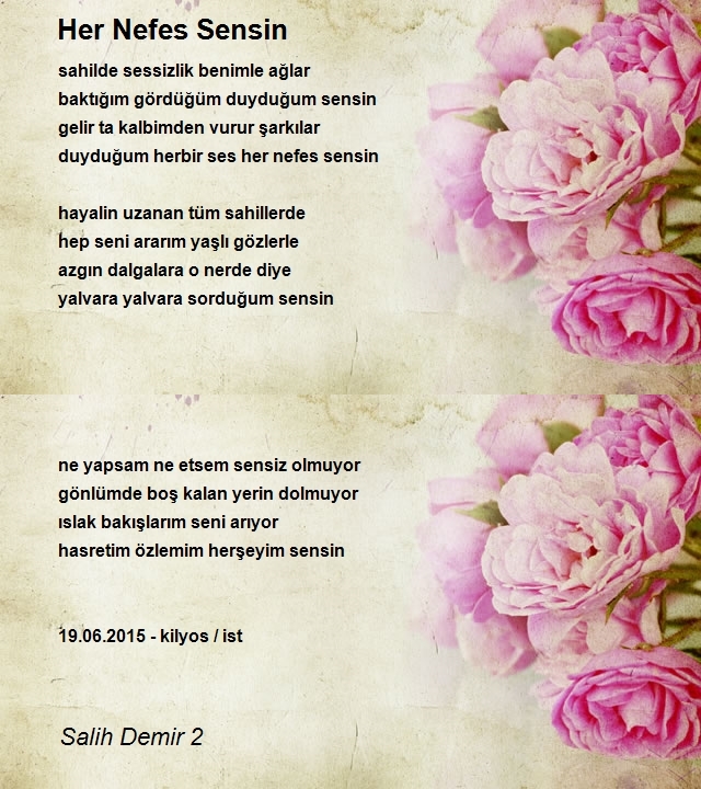 Salih Demir 2