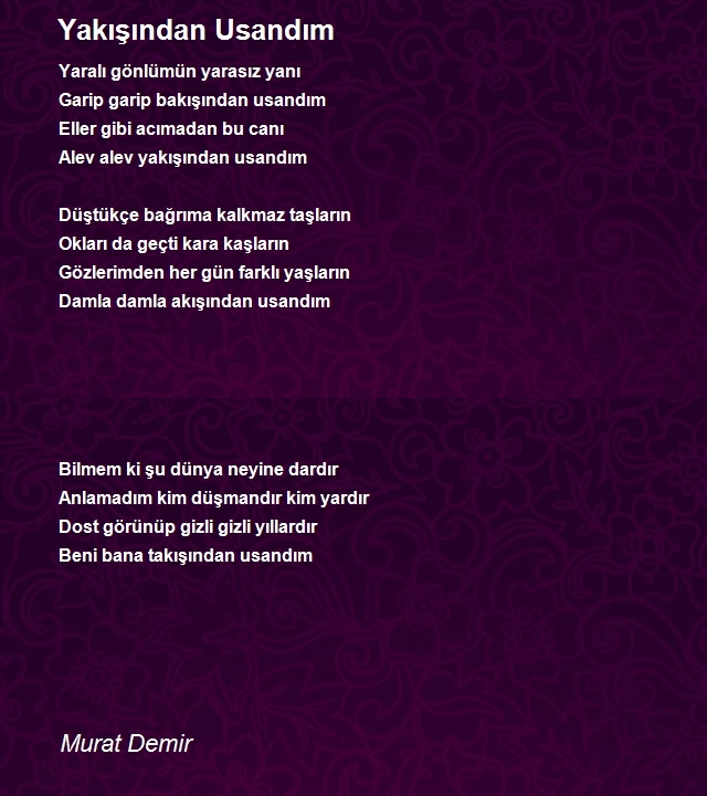 Murat Demir