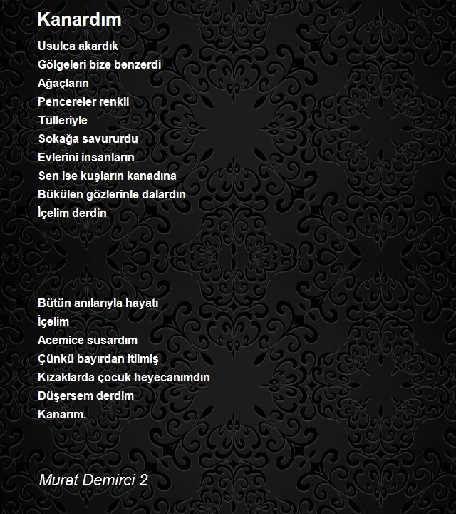 Murat Demirci 2