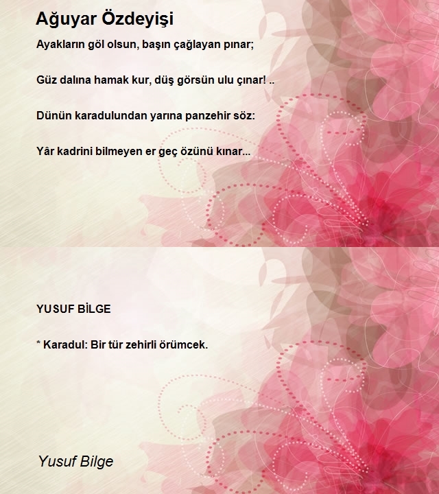 Yusuf Bilge