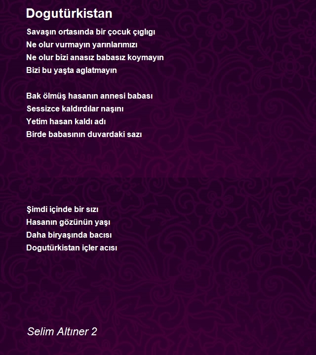 Selim Altıner 2