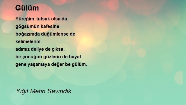 Yiğit Metin Sevindik